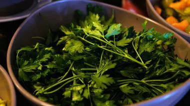 garnishing-instructions-image